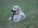 Moldova 2009 023